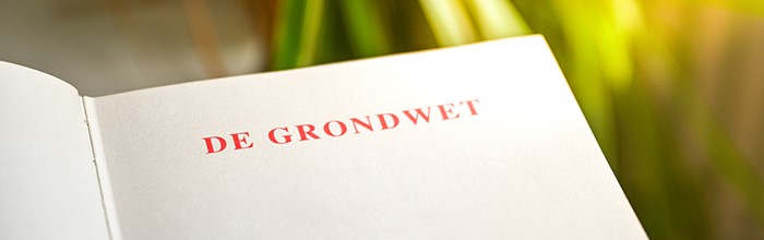Afbeelding De Grondwet